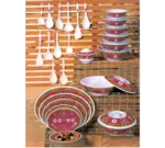 Thunder Group 2008TR