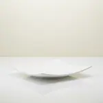 Thunder Group 24012WT