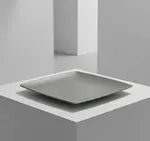 Thunder Group 29006SG