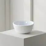 Thunder Group 39055WT