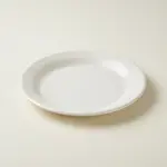 Thunder Group AD106WS