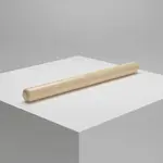 Thunder Group BANP001