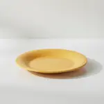 Thunder Group CR006YW