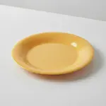 Thunder Group CR012YW