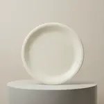 Thunder Group CR109V