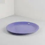 Thunder Group CR110BU