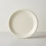 Thunder Group CR110V