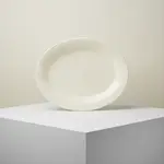 Thunder Group CR209V