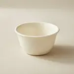 Thunder Group CR303V