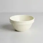 Thunder Group CR313V