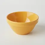 Thunder Group CR313YW