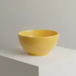 Thunder Group CR5804YW