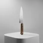 Thunder Group JAS013002