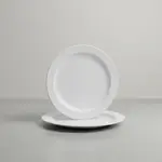 Thunder Group NS105W