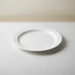 Thunder Group NS106W