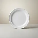 Thunder Group NS109W