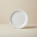 Thunder Group NS110W