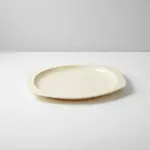 Thunder Group NS209T