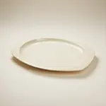 Thunder Group NS212T