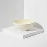 Thunder Group NS316T