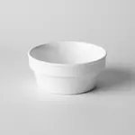 Thunder Group NS502W