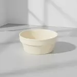 Thunder Group NS503T