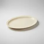 Thunder Group NS510T