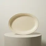 Thunder Group NS515T