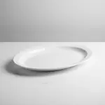 Thunder Group NS515W