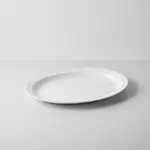 Thunder Group NS516W