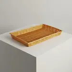 Thunder Group PLBN1813T