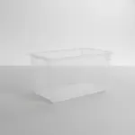 Thunder Group PLFB182615PP