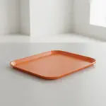 Thunder Group PLFFT1014RR