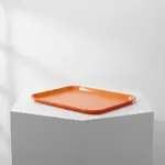 Thunder Group PLFFT1216RR