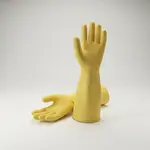 Thunder Group PLGL004