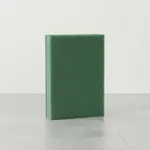 Thunder Group PLNP001