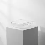 Thunder Group PLPA8132