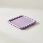 Thunder Group PLSFT0608CPR