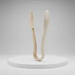 Thunder Group PLSGTG012BG-SplitCase