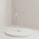 Thunder Group PLSGTG012CL