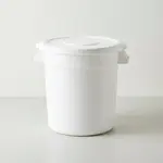 Thunder Group PLTC010W