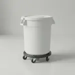 Thunder Group PLTC020W