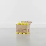 Thunder Group PLTHSB032YW