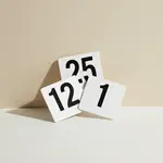 Thunder Group PLTN4025