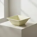 Thunder Group PS5005V