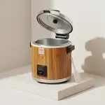 Thunder Group SEJ21000