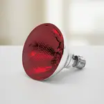 Thunder Group SEJ90001R Heat Lamp Bulb