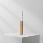 Thunder Group SLSKGK001