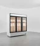 True GDIM-72NT-HC~TSL01