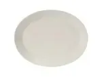 Tuxton China AMU-023